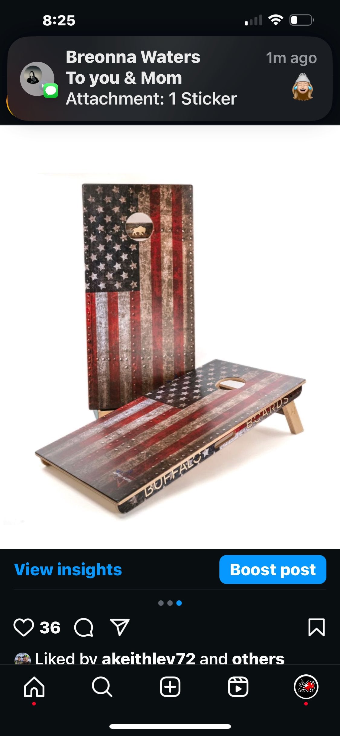 Buffalo Boards - Iron Flag - Professional Regulation Cornhole Boards BOARD Buffalo Boards 